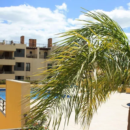 Apartmán Palm Breeze Terrace