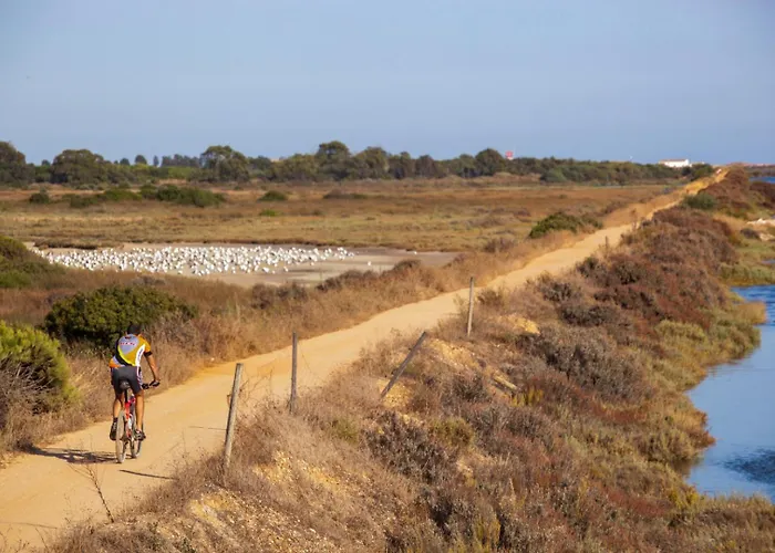 Apartmán Palm Breeze Terrace
