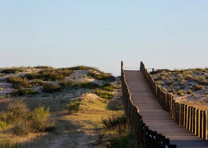 Palm Breeze Terrace Apartmán *