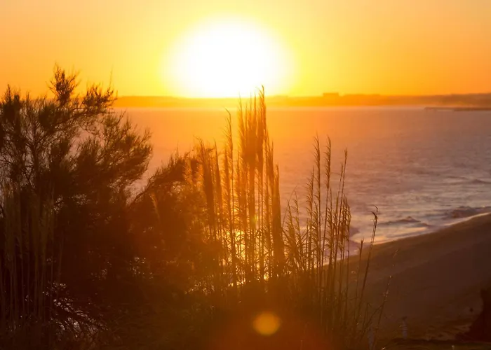 Palm Breeze Terrace * Vilamoura