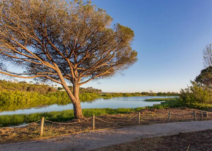 Palm Breeze Terrace * Vilamoura