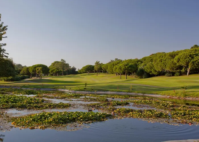 Apartmán Palm Breeze Terrace