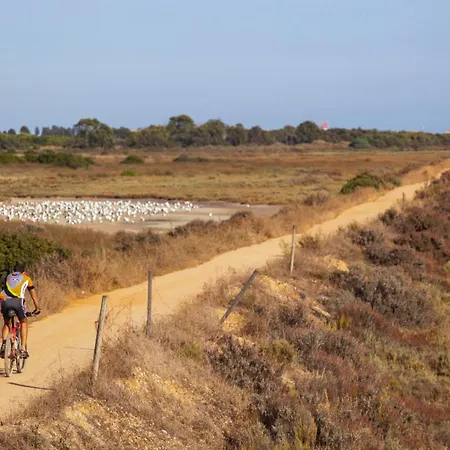Appartement Palm Breeze Terrace
