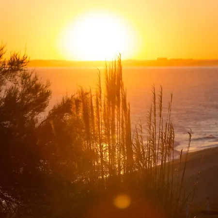 Palm Breeze Terrace * Vilamoura