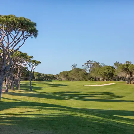 Appartement Palm Breeze Terrace