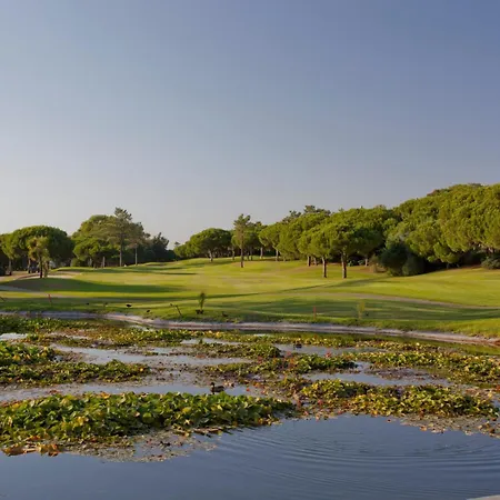 Appartement Palm Breeze Terrace
