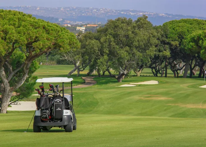 Palm Breeze Terrace 아파트 *