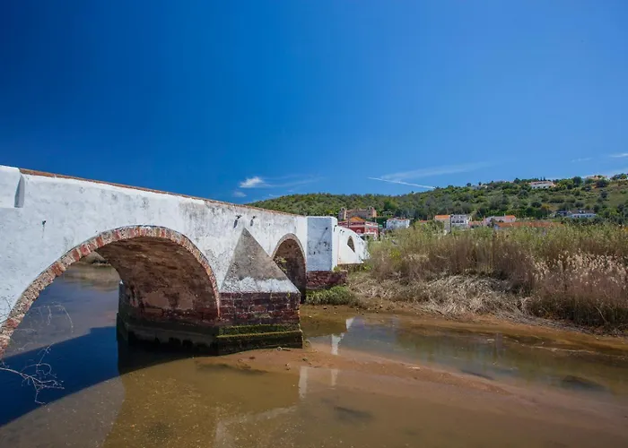 Palm Breeze Terrace 아파트