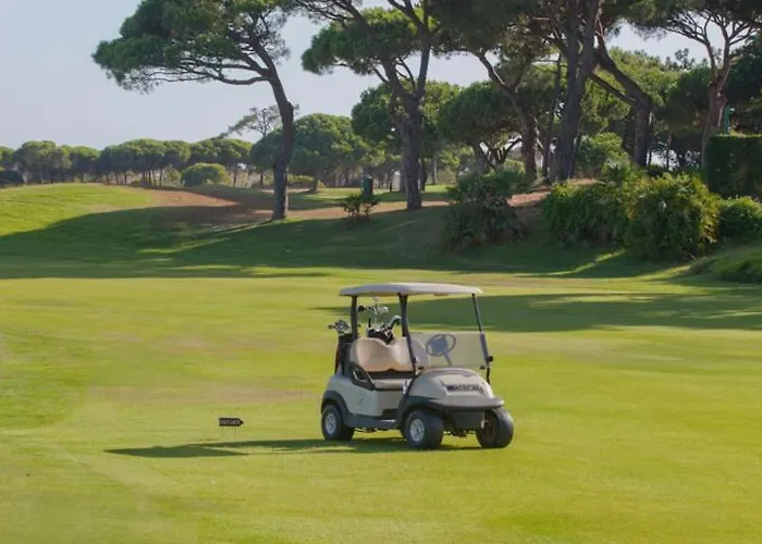 Palm Breeze Terrace 빌라모라