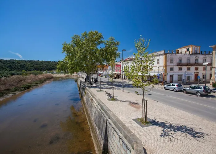 Palm Breeze Terrace 아파트