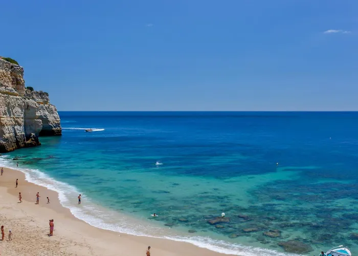 Palm Breeze Terrace 아파트