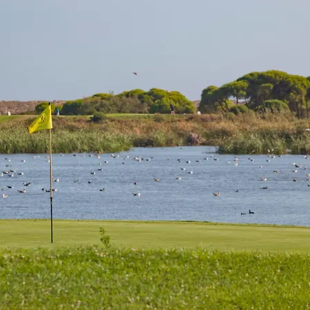 Apartament Palm Breeze Terrace *