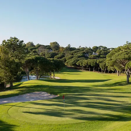 Palm Breeze Terrace *