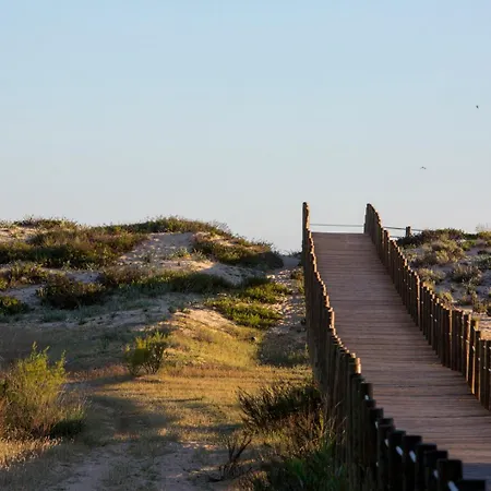 Palm Breeze Terrace Apartament *